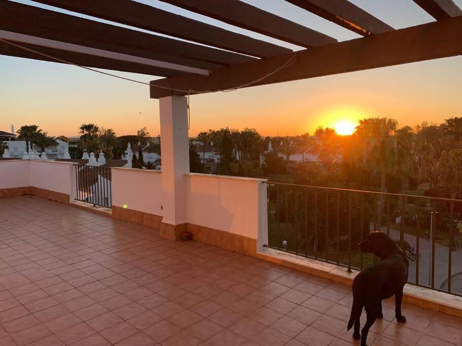 Atico Costa Ballena - Cadiz Рота Екстер'єр фото